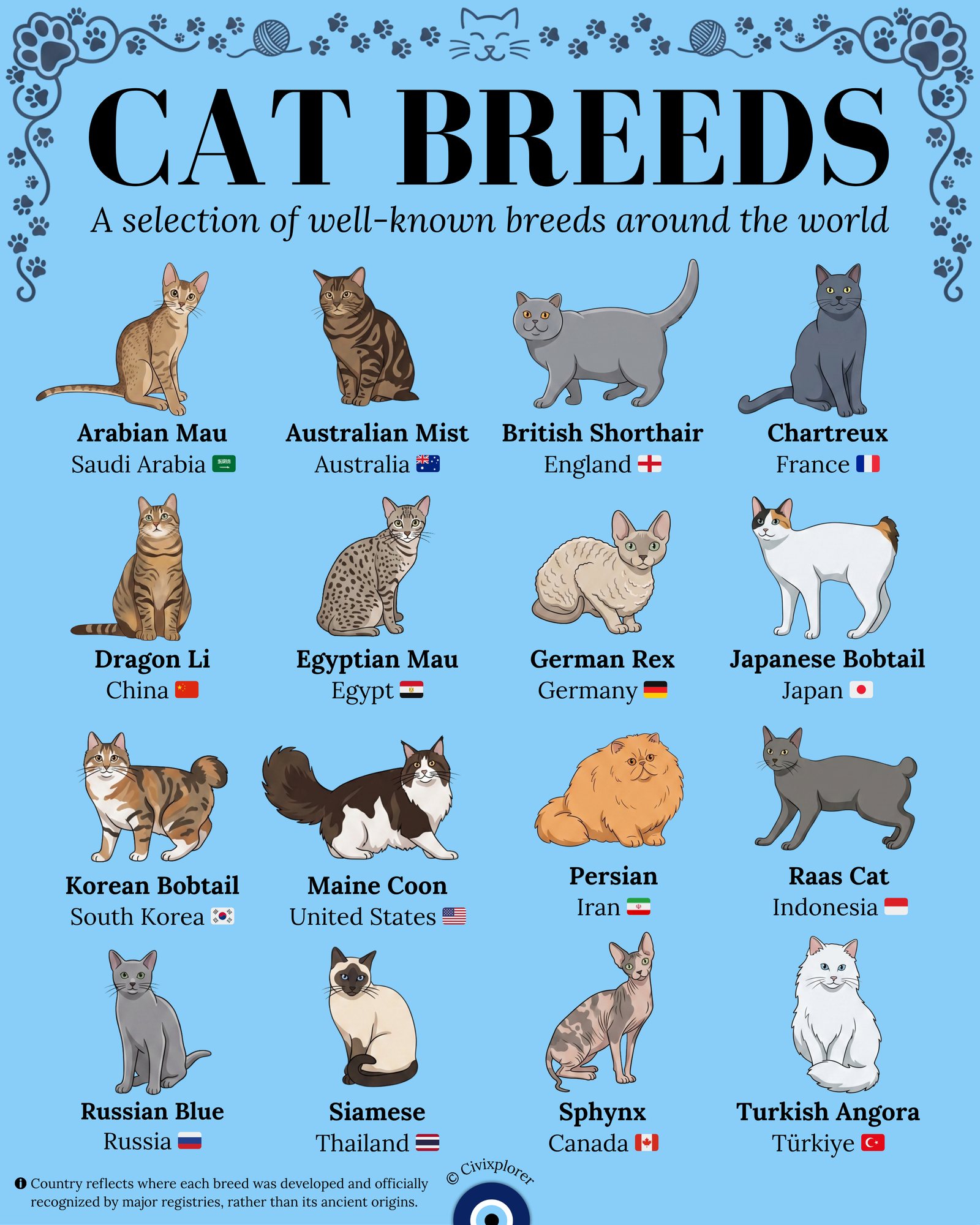 Purr-fect Origins: A Global Guide to Cat Breeds